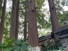 -T80科技文化国际社区-停车场
