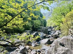 -石台牯牛降景区