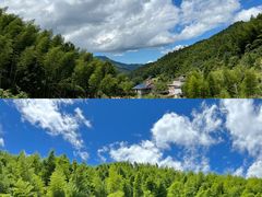 -全国青少年井冈山革命传统教育基地