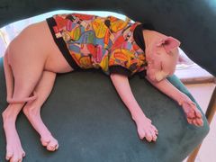 -藏猫猫咖啡主题馆(中央大道店)