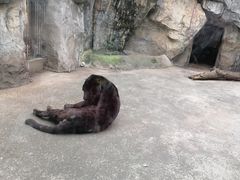 -南昌动物园