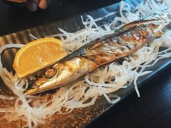 银丝秋刀鱼-春草居酒屋·晴子の店