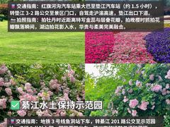 -南山植物园