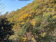 -罗田天堂寨风景区