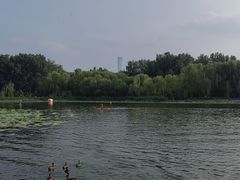 -WhaleSports户外水上运动俱乐部(朝阳公园店)