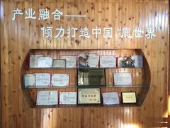 -北京鹿世界主题园