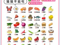 -FAELING PETS美天灵宠物(合生汇店)