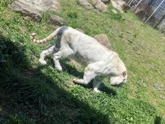 -上方山森林动物世界