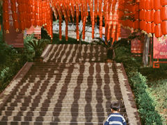 -超山青莲寺