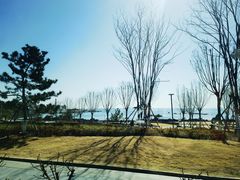 -青岛石老人海水浴场