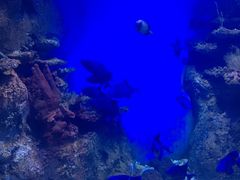 -鄂尔多斯野生动物园