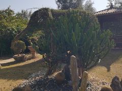 -惠州金海湾嘉华度假酒店