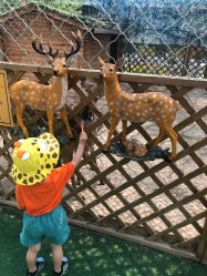 -萌宠亲子动物乐园(槐房万达店)