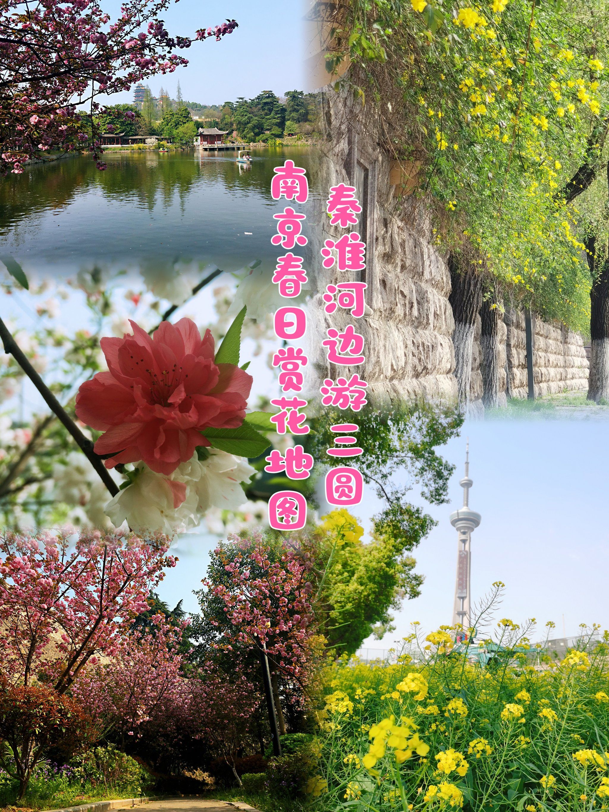 南京春日赏花地图—城墙和秦淮河沿岸三园