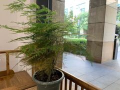-NOTBAD 须时·咖啡馆