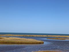 -毛家湘菜馆(青海湖店)