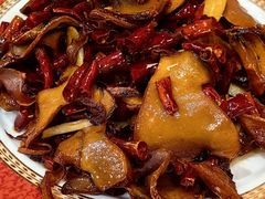 -菌之家·专业纯野生菌火锅·特色炒菌