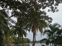 -三亚珠江南田温泉度假区