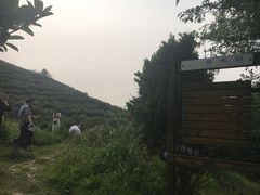 -缥缈峰景区