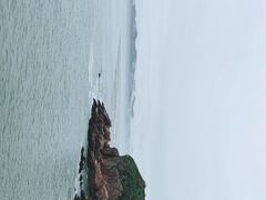 -枸杞岛