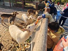 -无锡动物园·太湖欢乐园