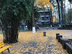 -四川大学(华西校区)