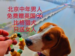 -浙江西子宾馆·牡丹厅