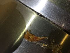 -马路牙子地桌烤肉(工体店)