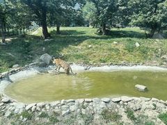 -西安秦岭野生动物园