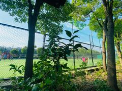 -体汇+名都体育公园足球场