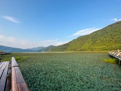 -腾冲北海湿地
