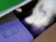 android_upload_pic-Sirena海妖日咖夜酒