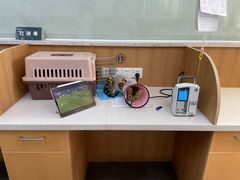 -联合动物医院(光谷诊疗中心)