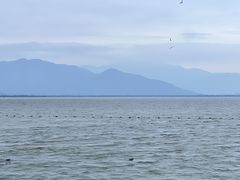 -深圳湾公园(南山区)