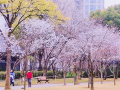 -新虹桥中心花园