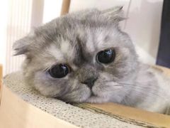 -世纪缘湖滨花园酒店(玄武湖店)