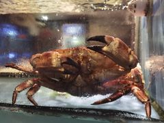 景观位-肥仔文澳门猪骨煲(南京西路店)