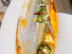 -醉庐·新上海菜(南京西路店)