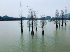 -星湖旅游景区七星岩