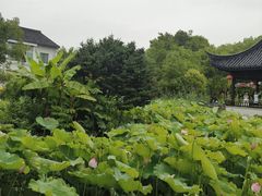 -丝绸小镇荻港古村