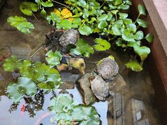 -南堂小馆·川菜馆(德商国际店)