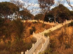 -上海市保健医疗中心