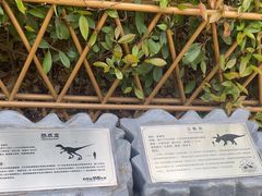 -自然谷恐龙园