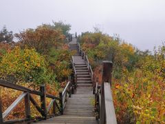 -大岭沟猕猴桃谷风景区