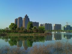 -金沙湖公园