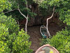 -东寨港红树林旅游区