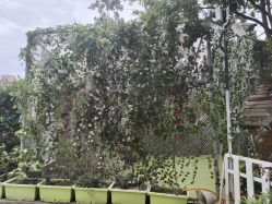 -可可天空农场(中大店)