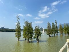 -星湖旅游景区七星岩