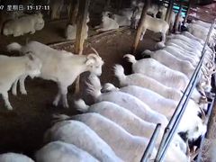 -何记羊汤馆(丽水佳源店)