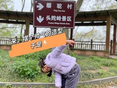 -紫金山山顶公园